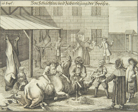 Ритуальный кошерный убой (источник иллюстрации The Jerusalem Post)