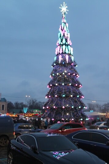 В Харькове поставили самую большую елку в Украине. Она также является одной из самой большей елкой в Европе
