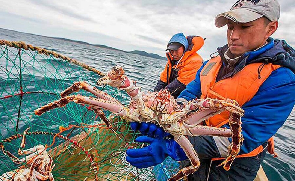 Промысел в охотском море