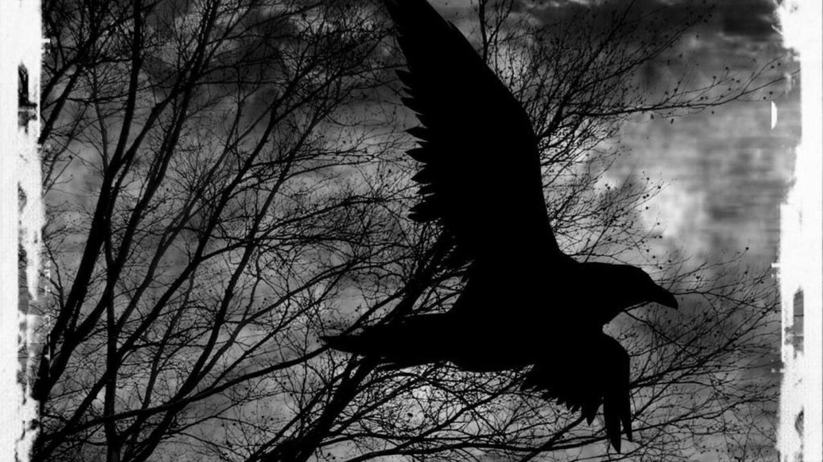 So let the Raven come to me! Come and set me free, summon me, let me be!