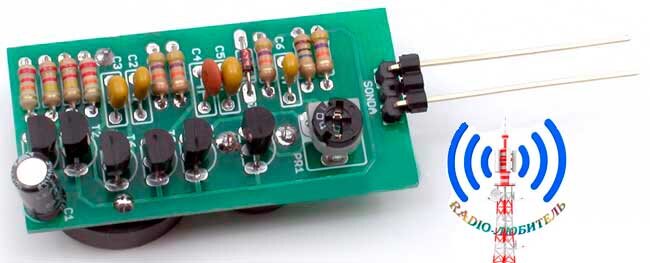 Вид индикатора