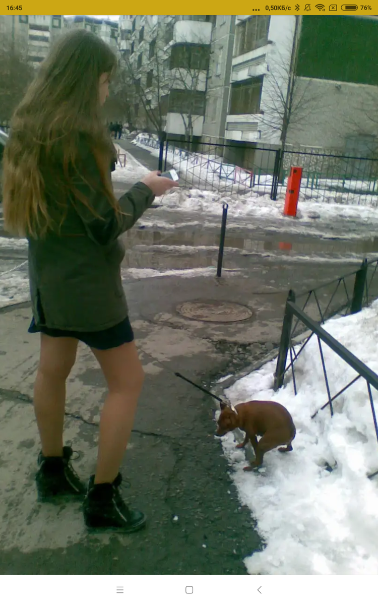 Фото из интернета.