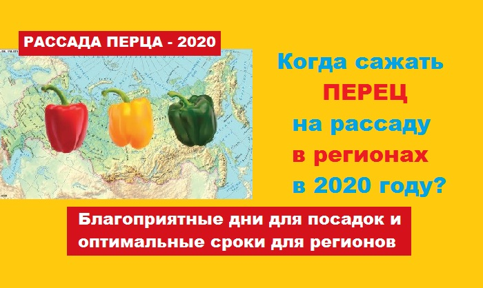 Когда можно сеять перцы в 2024 году. Когда сеять перец на рассаду в 2020 году. Благоприятные дни для посадки перца на рассаду в 2020. Сажаем перцы в феврале. Лунный перец.