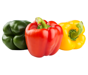 Изображение взято из открытых источников 