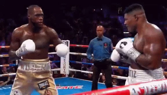 Реванш Ортис-Уайлдер. 23 ноября 2019 г.