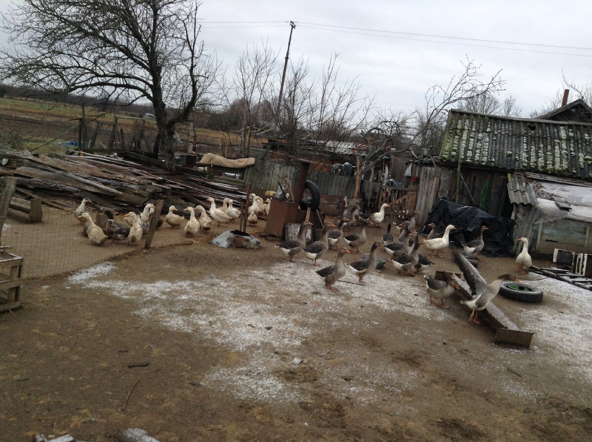 под открытым небом.