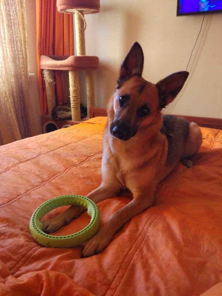 Для Сури стартовый мешок мы собирали именно по списку в статье