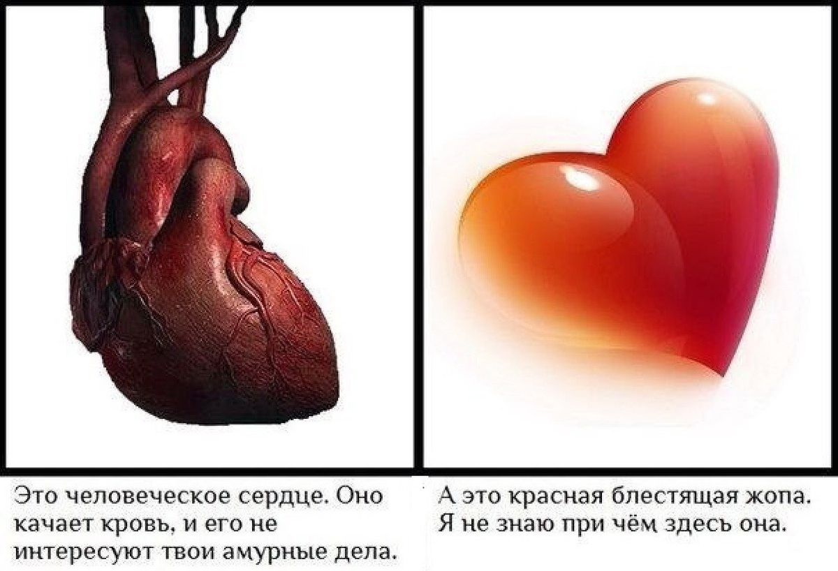 Что такое слепое сердце. Я знаю как выглядит сердце. Сердце прикольное.