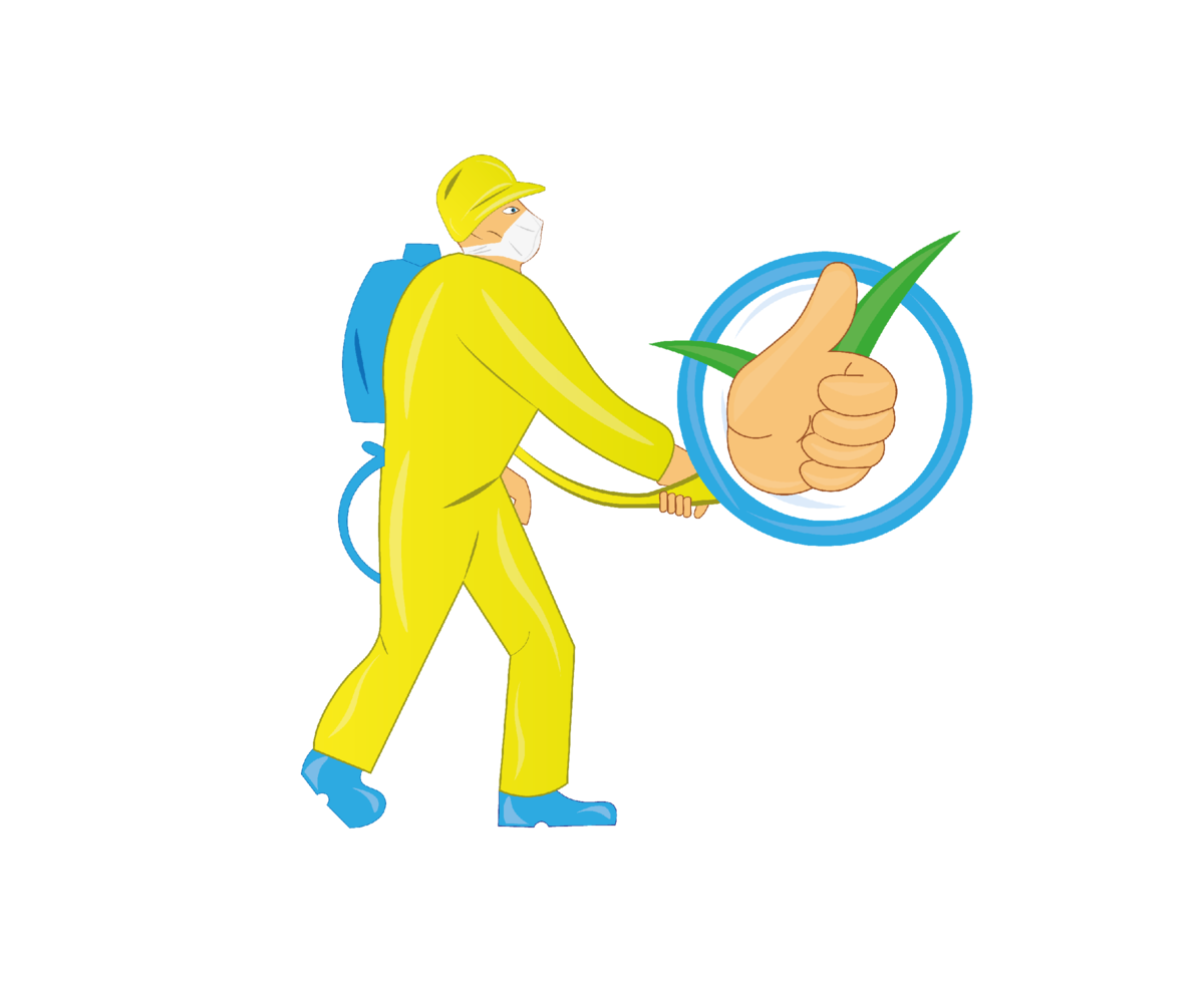 Дезинсекция помещений. Дератизация и дезинсекция. Дезинфекция дератизация. Дезинсекция от клопов в квартире. Дезинфекция помещений от клопов.