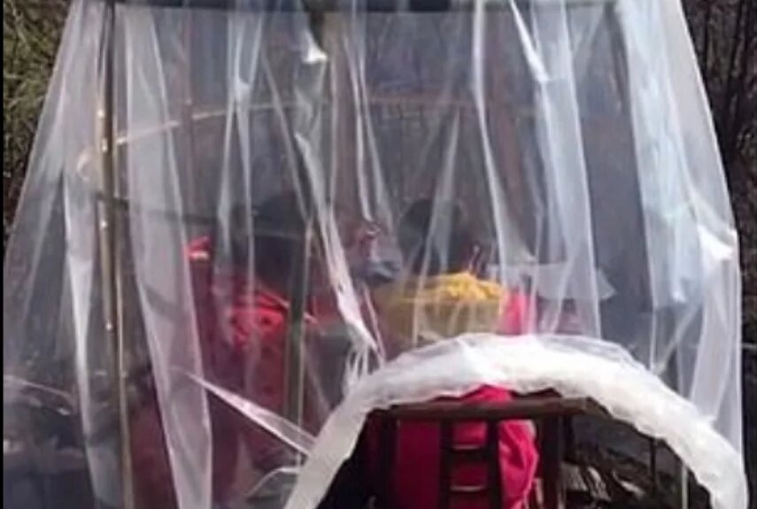 Фото: Daily Mail