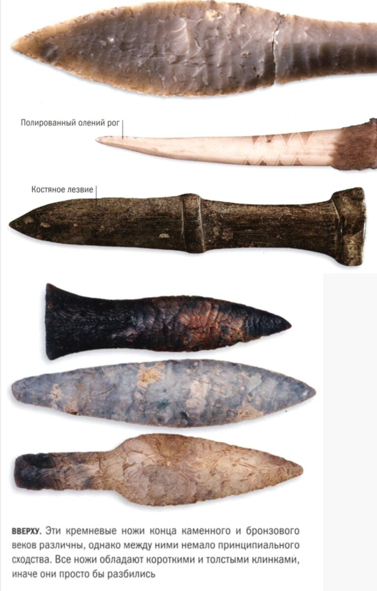 Фото из свободного доступа сети Интернет