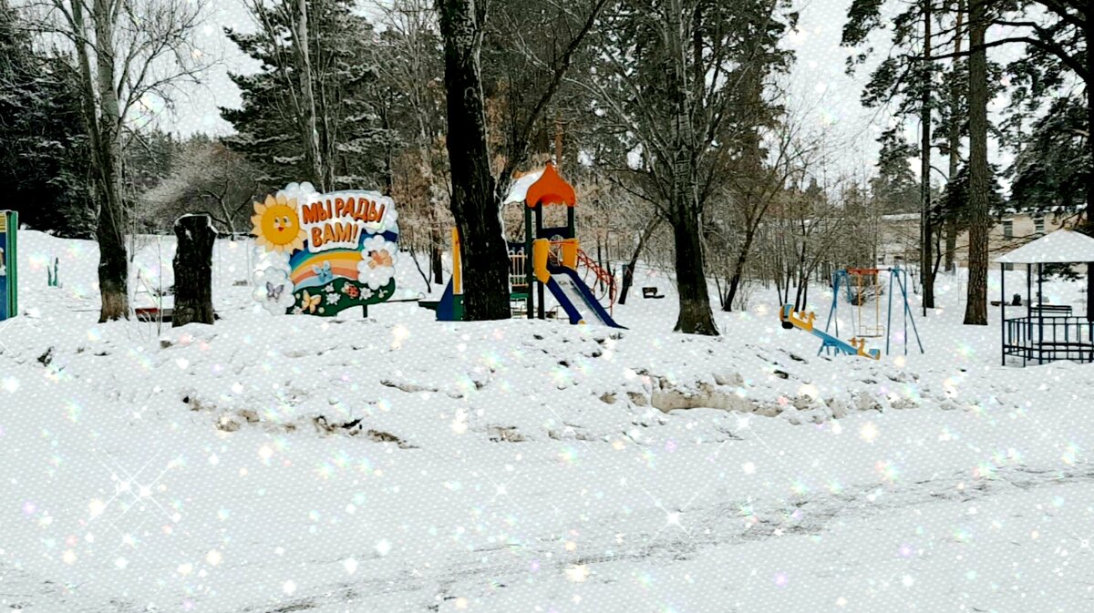 Лес красотища. Фото не передаёт.