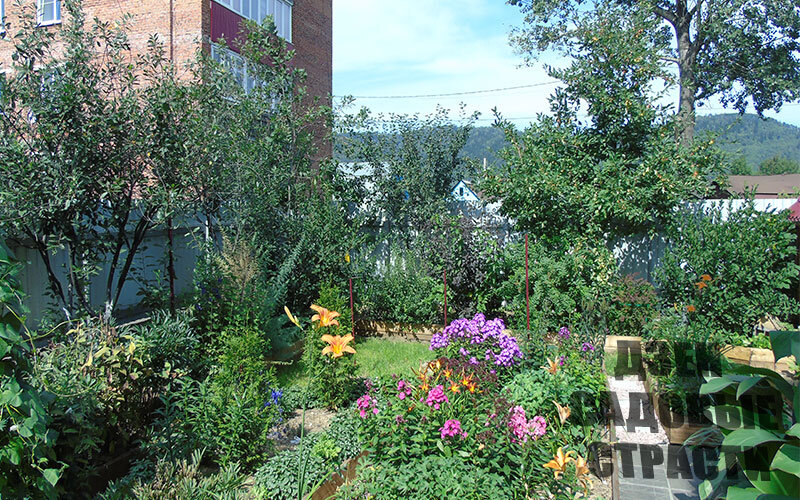 Мои соседи живут вон в том красном доме.....