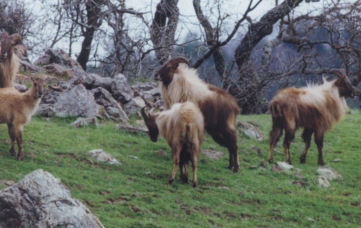 Источник -  flickr.com