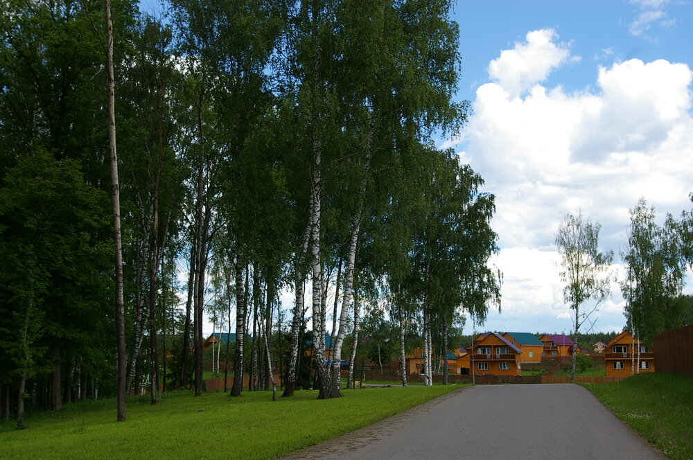 Поселок дарьино парк. КП Дарьино парк. Озеро Дарьино Камешковский. ДПК Дарьино аэродром.