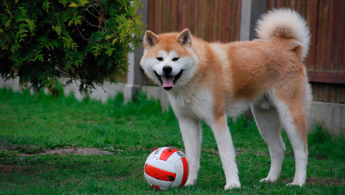 фото: открытые источники