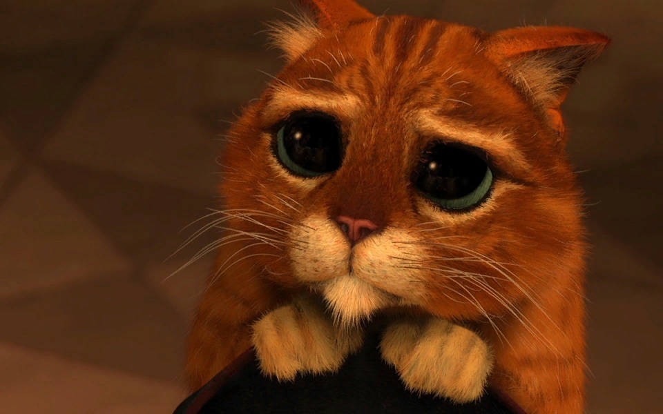 НА ПОДДЕРЖКУ КАНАЛА!!!