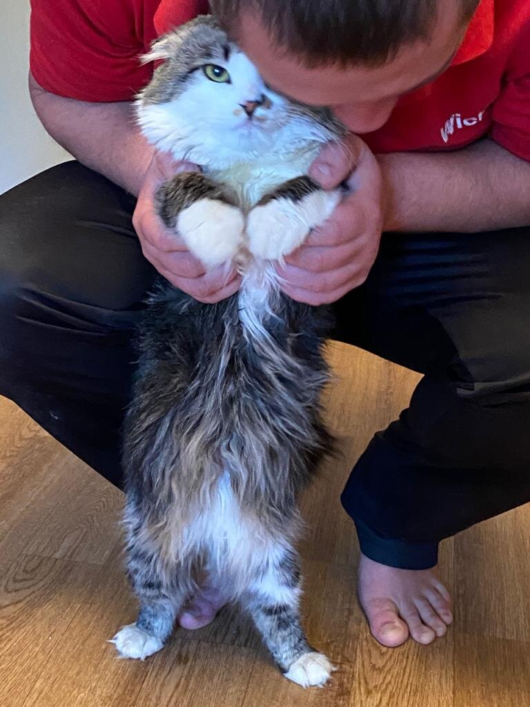 Когда они уже на работу уйдут?