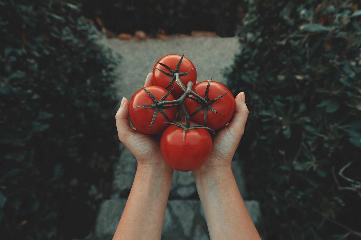 Полезные продукты, которые нарушают баланс в природе