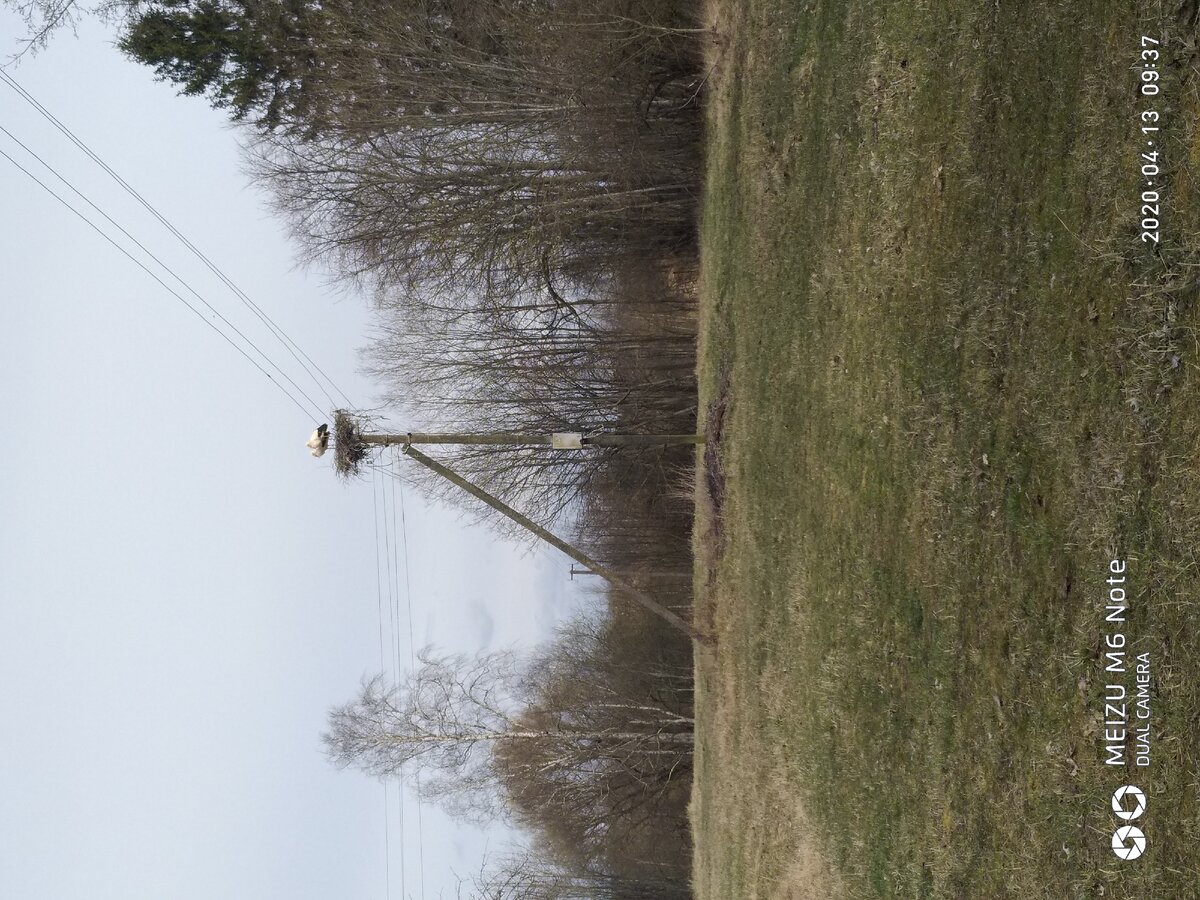 Жаль,что небо такое серое,облаков не видно совсем,очень хочется все же надеятся,что все это не насовсем...
