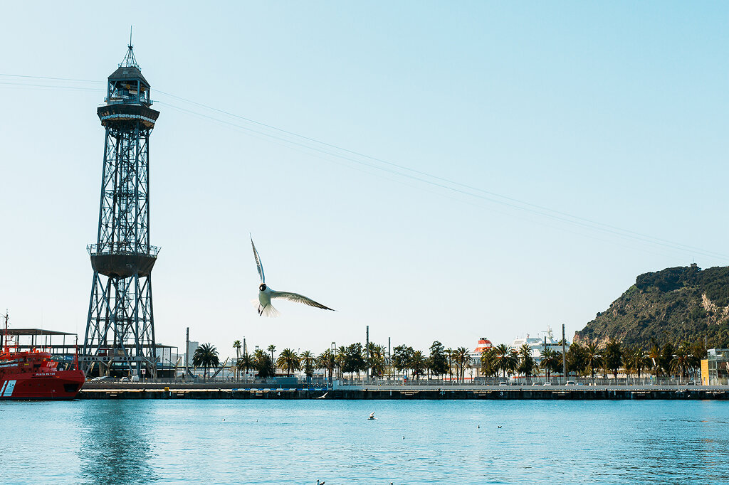 Барселона, 2019