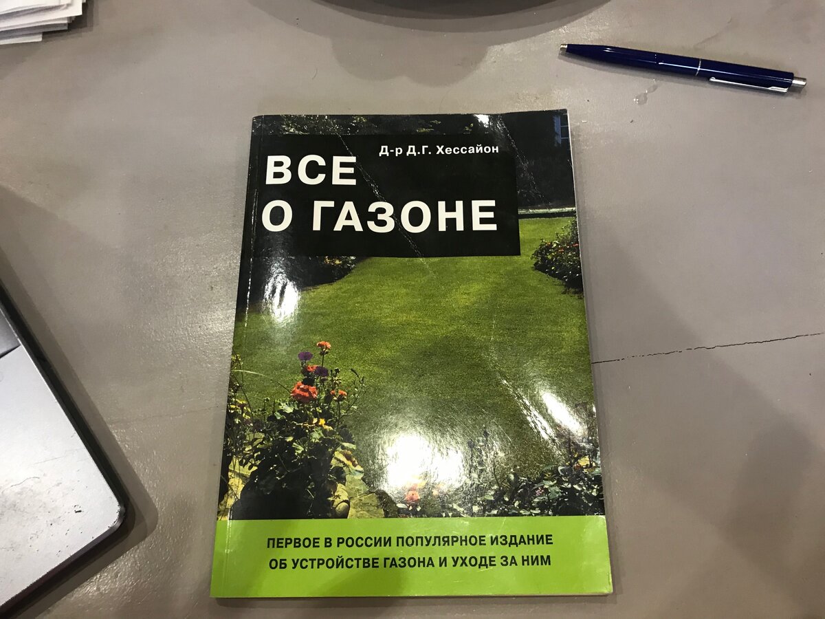 Мой опыт создания газона - ничего сложного, только терпение и пара простых  правил | Ваш Дом в Подмосковье | Дзен