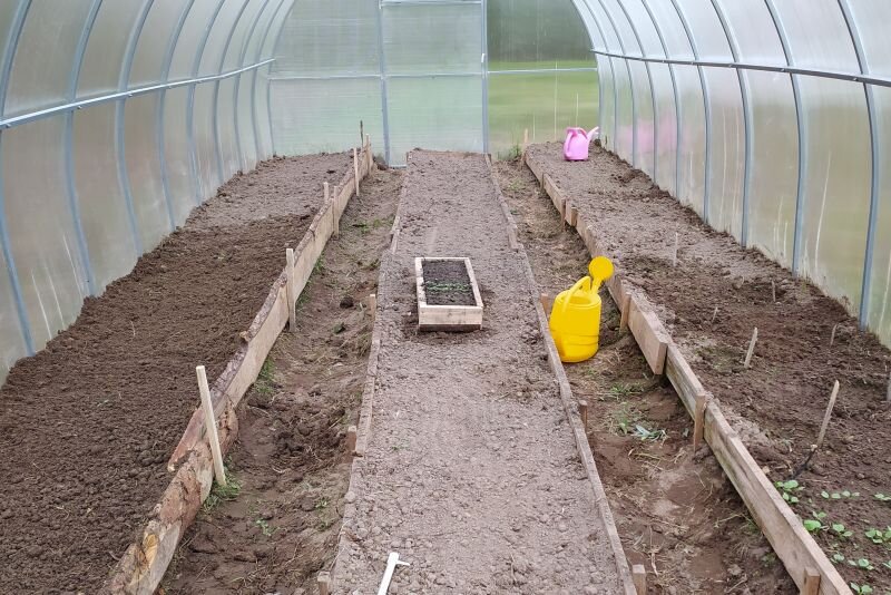 Подготовила теплицу к посадке томатов.