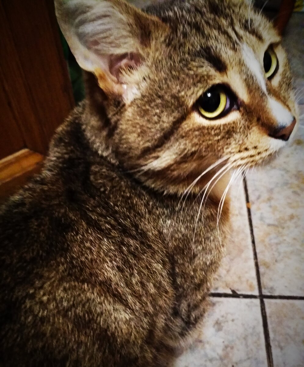 Собственная фотография