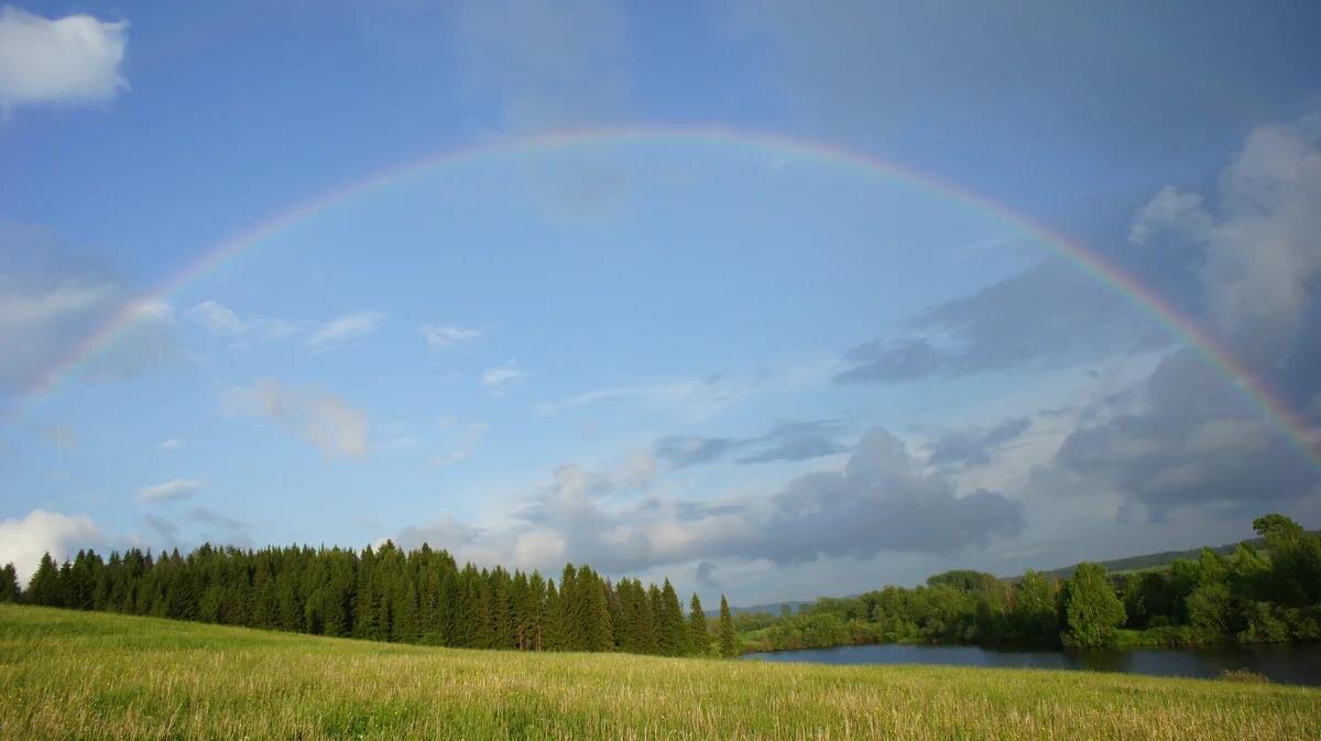 Фото — yandex.net