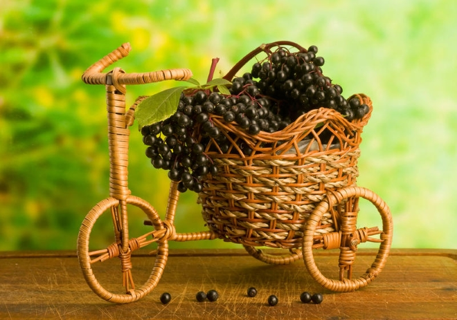 «INTER альфа». (Форте). Часть 3.