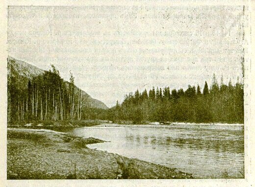 иллюстрация к отчету ДКС