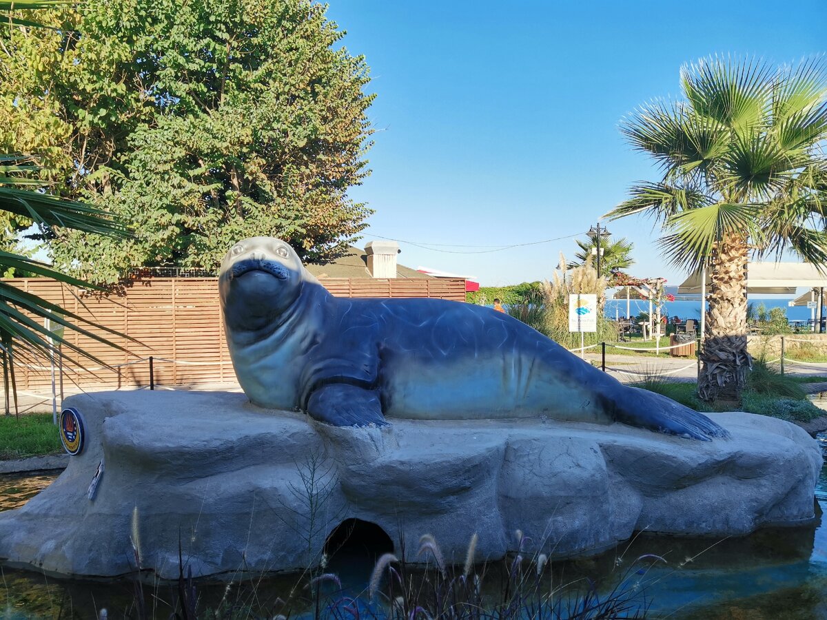 "Аксессуар" фонтана