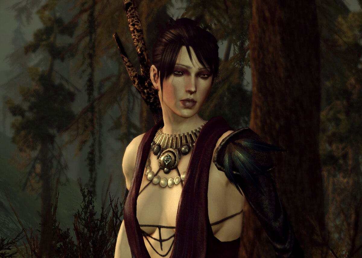 Dragon age origins steam фото 42