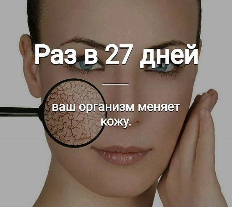 1.О нашем организме!