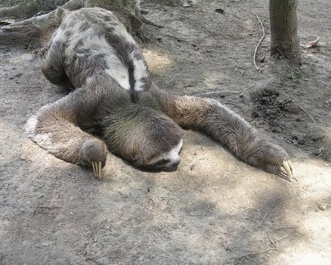 Тяжелые будни ....