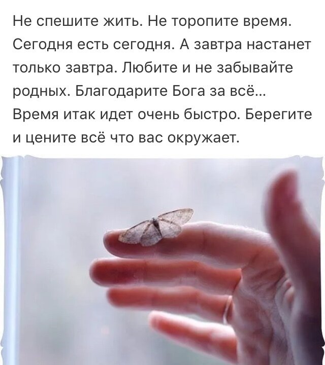 Цитаты на машину наклейки. Открытки не торопитесь жить. Прикольные фразы на авто. Прикольные фразы про автомобили. Не торопись наверху принимают круглосуточно.