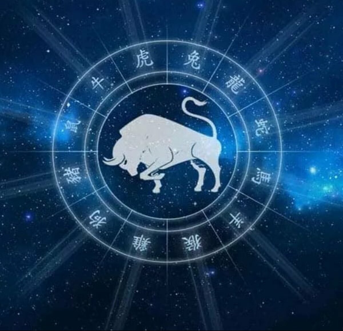 Гороскоп какой год 2021. Бык гороскоп. Зодиакальные животные. Бык Зодиак. Китайский гороскоп бык.