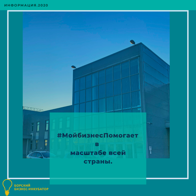 inst. mau_bor_business