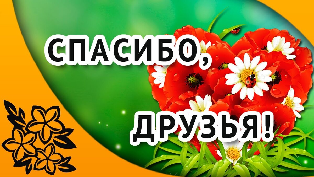 Спасибо друг. Спасибо большое друзья. Спасибо картинки. Благодарю за поздравления.
