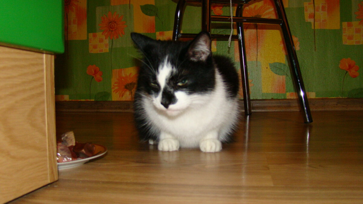 Бескровный пост? Не, не слышали)