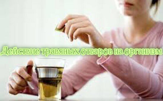 [caption id="attachment_5975" align="aligncenter" width="550"] Действие травяных отваров на организм[/caption]