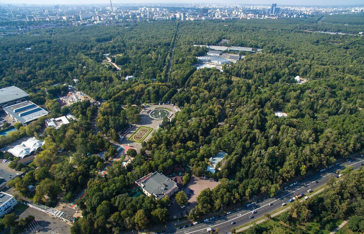 Сокольники в москве фото