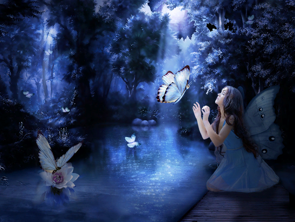 Сказочные феи. Феи красивые. Крылья феи. Фея с крыльями бабочки. Спящие ночью бабочки