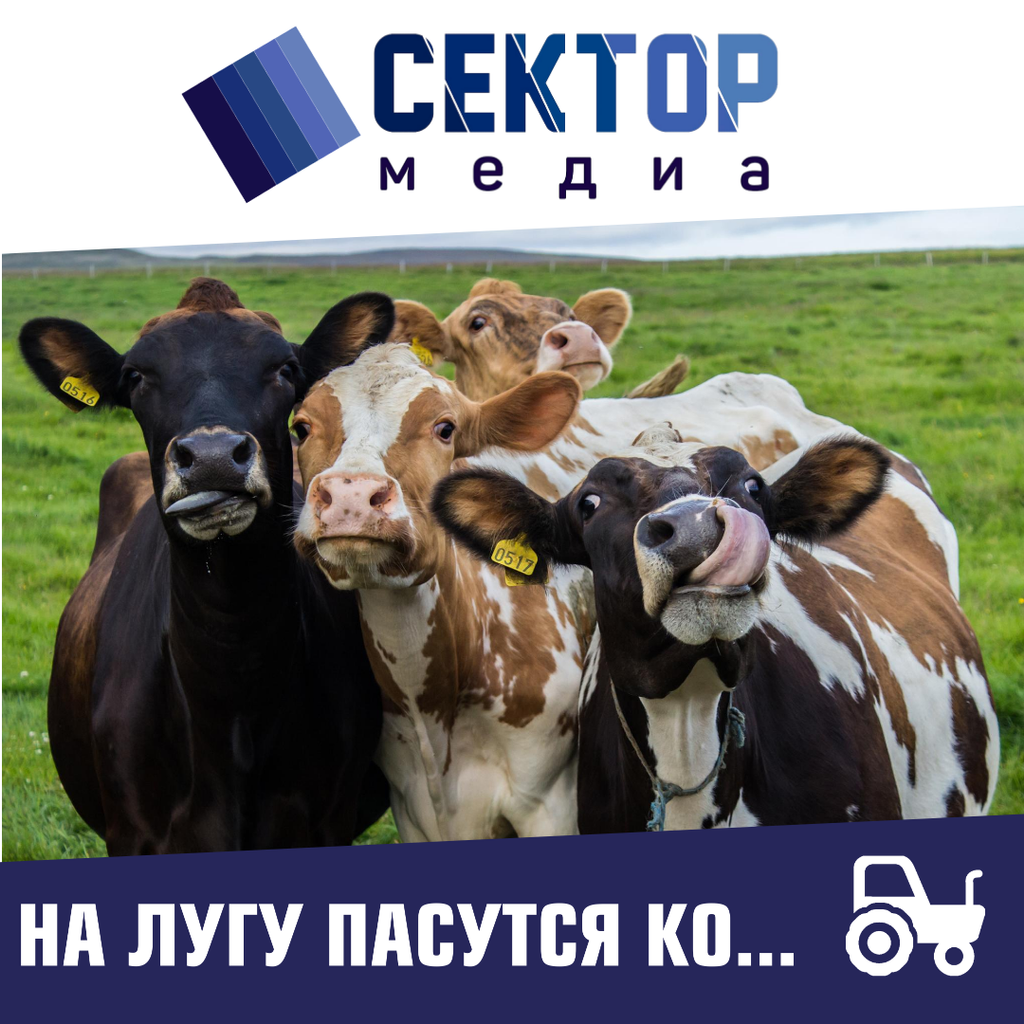 Новые ветеринарные правила. Ветеринарные правила маркирования животных. Ветеринарные правила маркирования животных. Учет сельскохозяйственных животных. Телята с бирками.