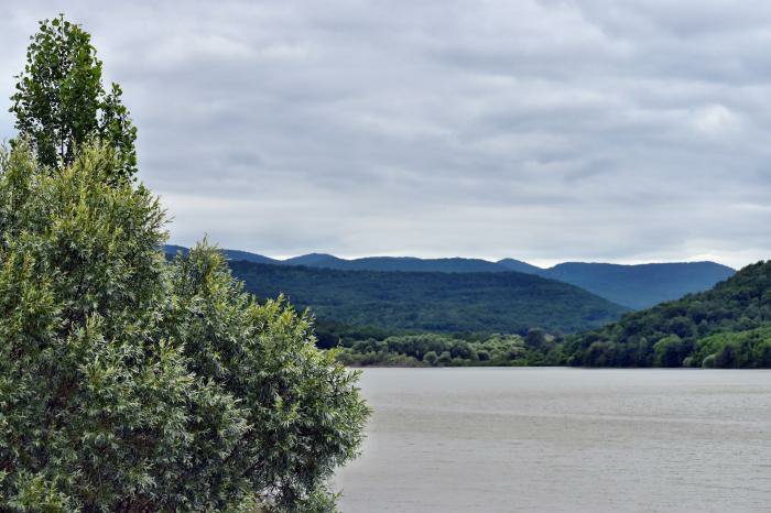 Яндекс. Картинки (Горлинское водохранилище близ с. Черемисовка).