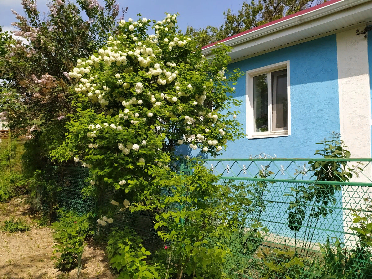 Фото автора жизнь в деревне