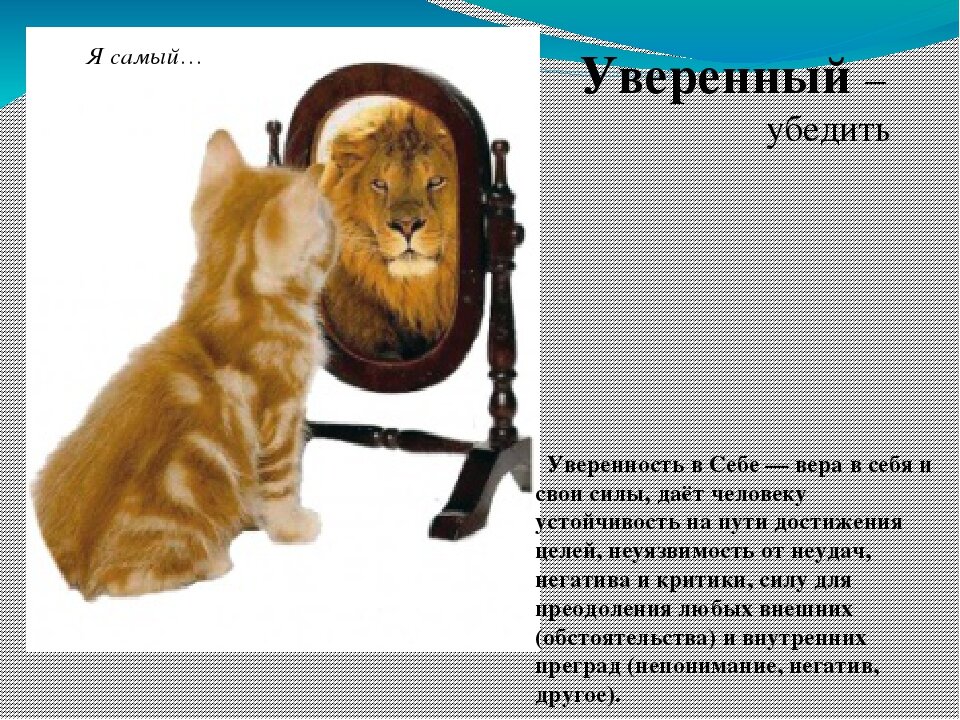 этот котёнок надеется , что станет львом . . . 