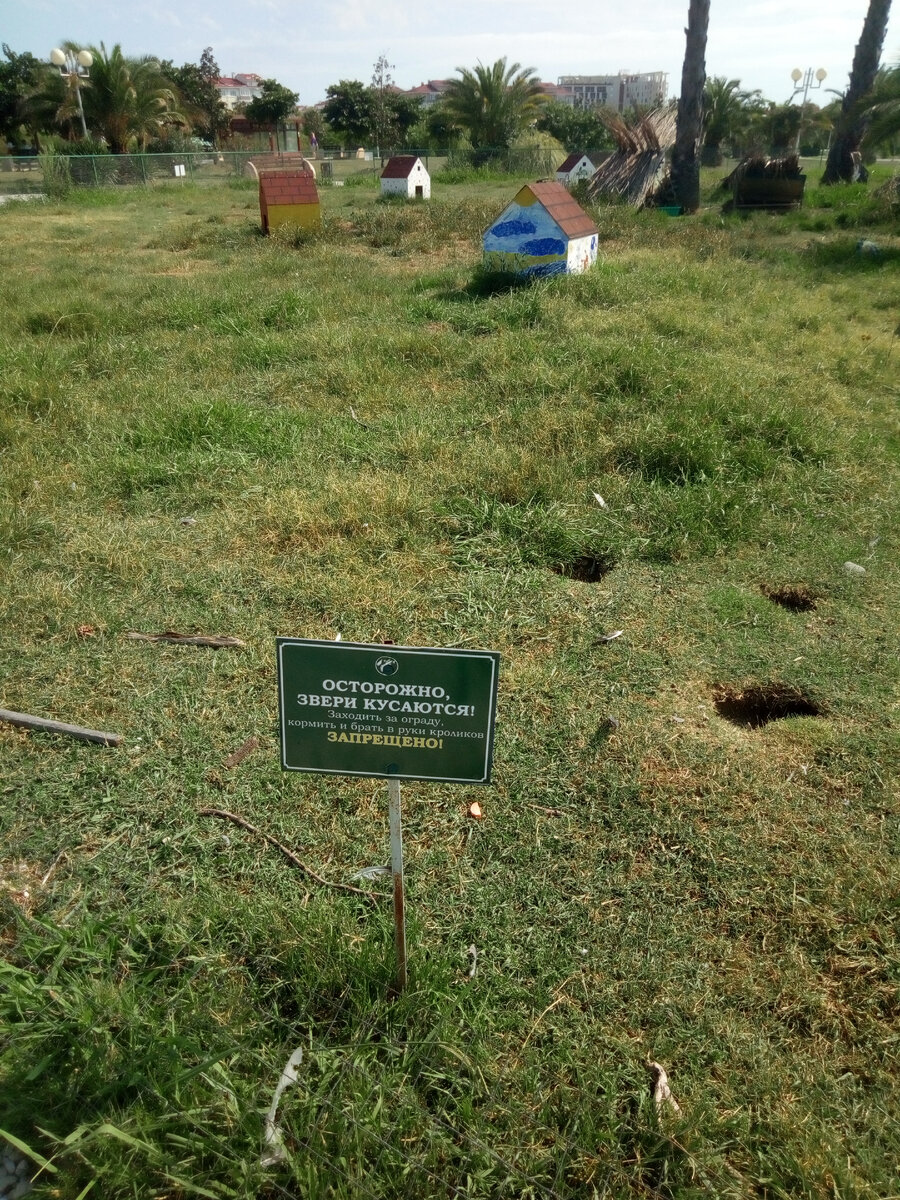 За ограждением много домиков для кроликов, но они все равно роют норы