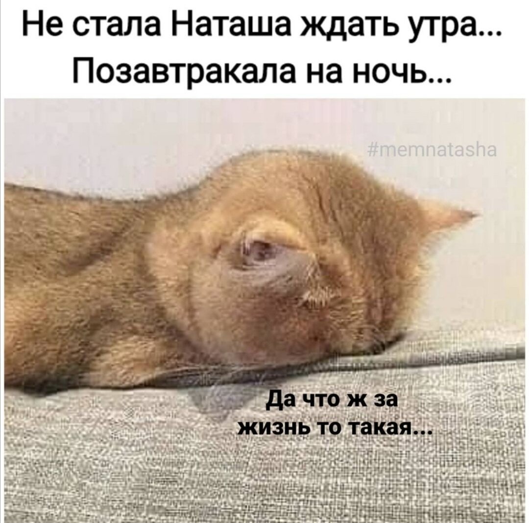 Как ждал я до утра