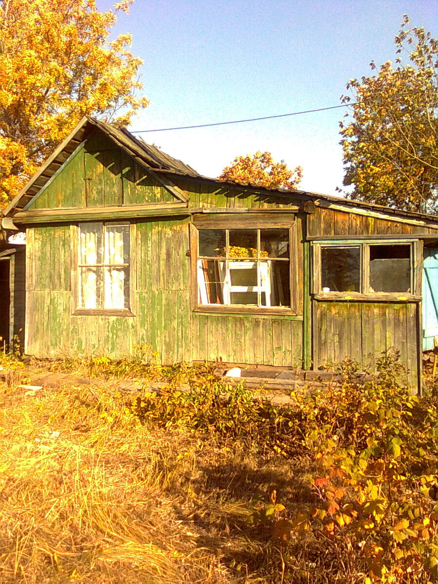 Вот таким был садовый домик при покупке.